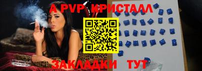 PSILOCYBIN Нальчик