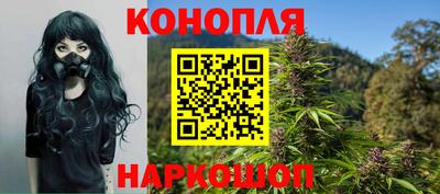 PSILOCYBIN Нальчик