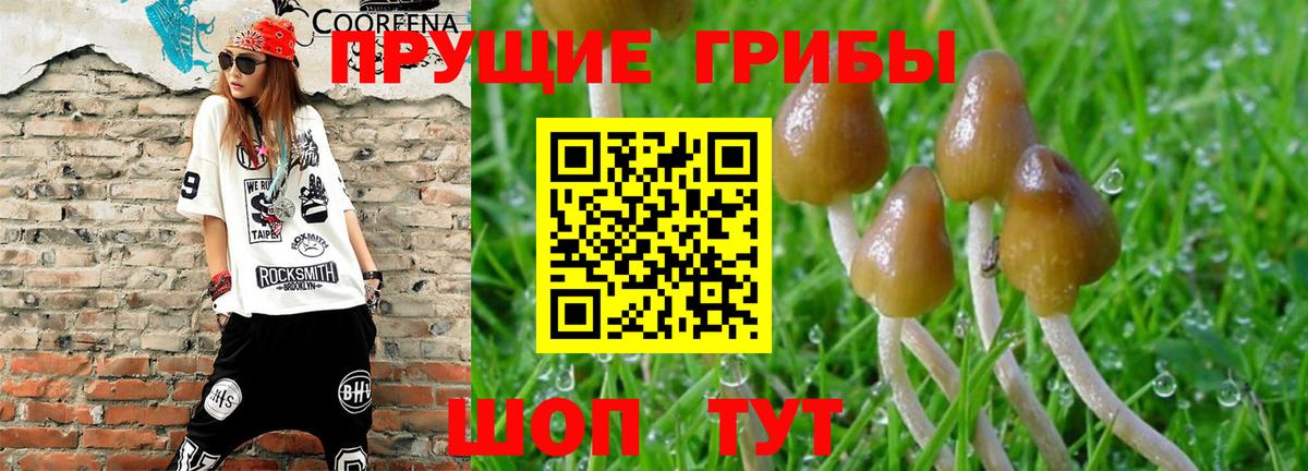 Старая Купавна  Псилоцибиновые грибы прущие грибы  Галлюциногенные грибы мицелий  Вход с VPN 