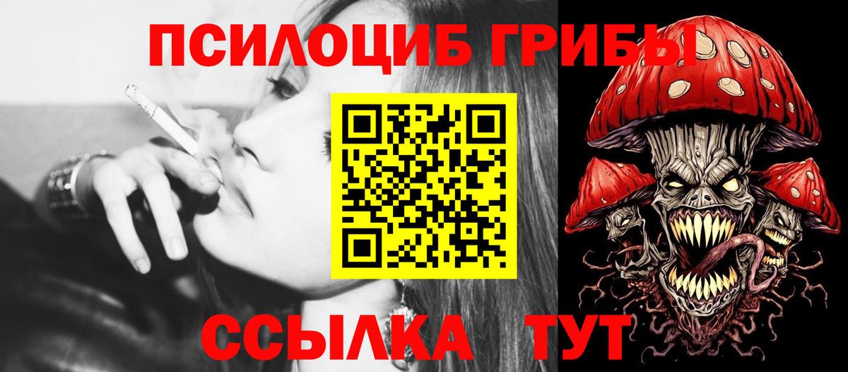 Псилоцибиновые грибы мицелий Старая Купавна